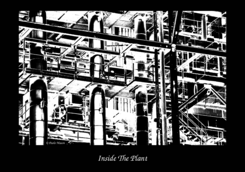 Inside The Plant