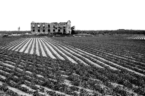 La Casa Di Campagna