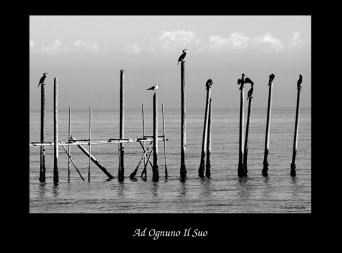 Ad Ognuno Il Suo