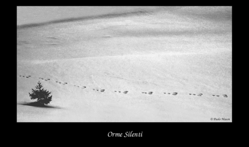 Orme Silenti
