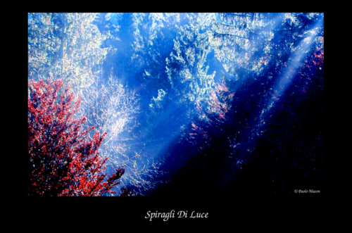 Spiragli Di Luce